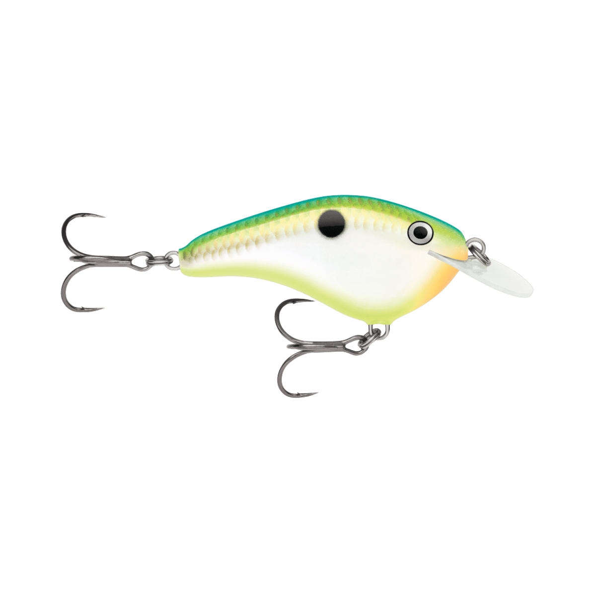 RAPALA OTT'S GARAGE 2-3/4" CITRUS SHAD SLIM 6