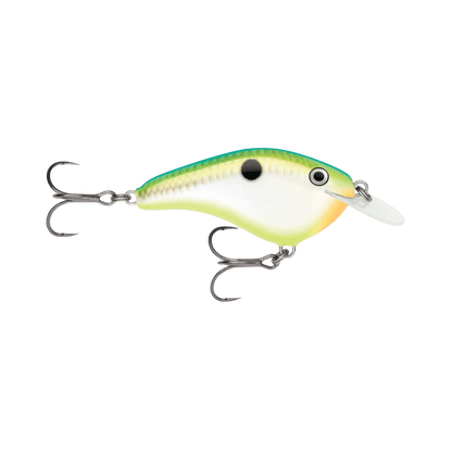 RAPALA OTT'S GARAGE 2-3/4" CITRUS SHAD SLIM 6