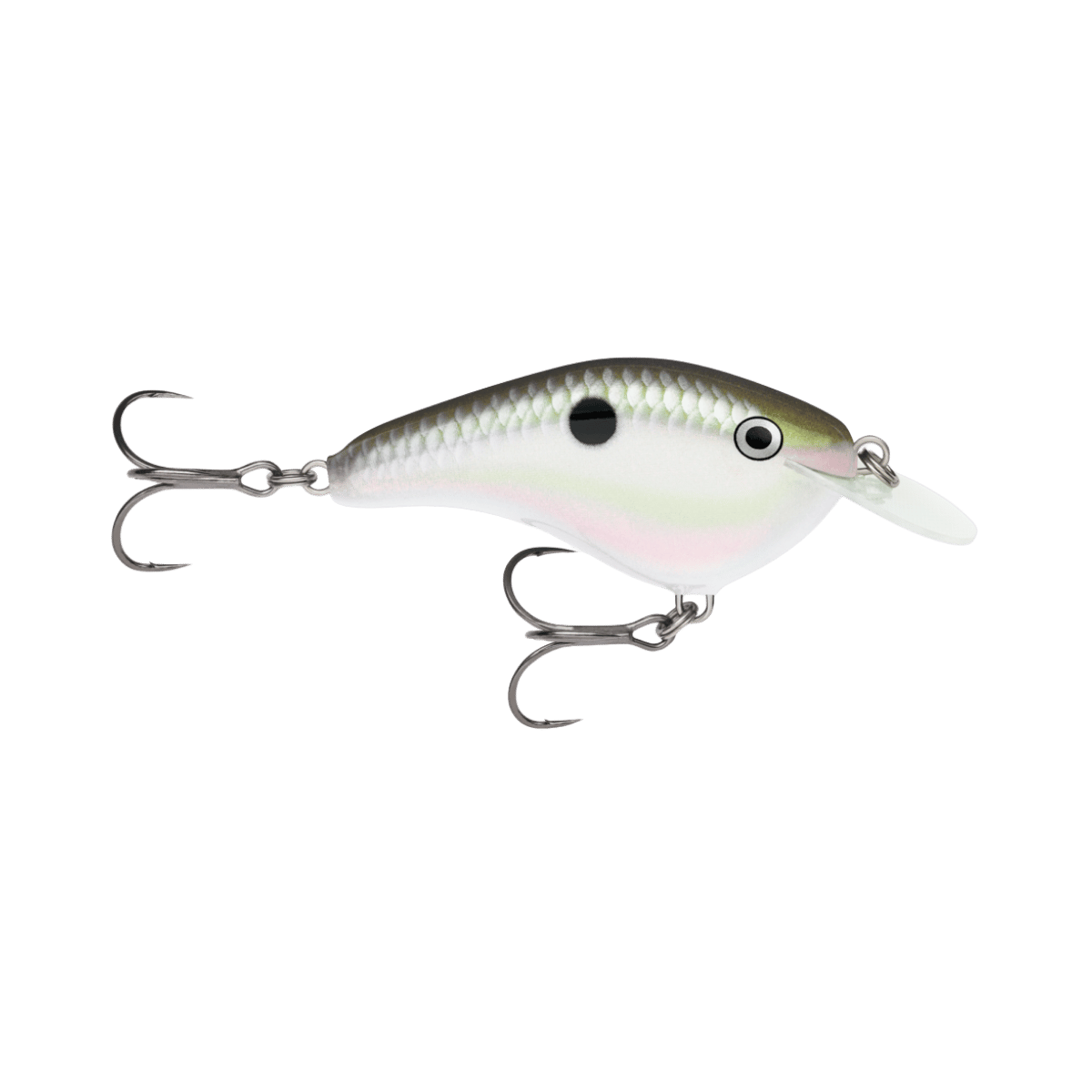 RAPALA OTT'S GARAGE 2-3/4" GREEN GIZZARD SHAD SLIM 6