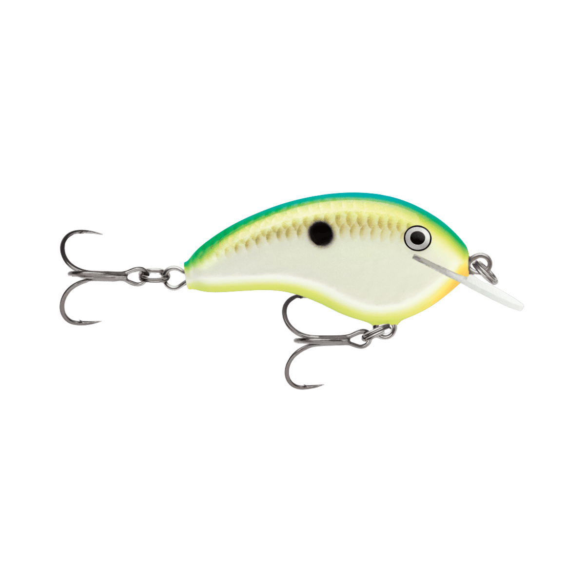 RAPALA OTT'S GARAGE 2-1/4" CITRUS SHAD TINY 4