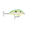 CITRUS SHAD