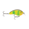 COOSA SPECIAL