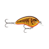 DK BRN CRAWDAD