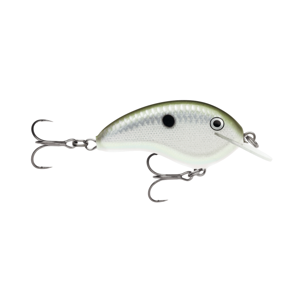 RAPALA OTT'S GARAGE 2-1/4" GREEN GIZZARD SHAD TINY 4