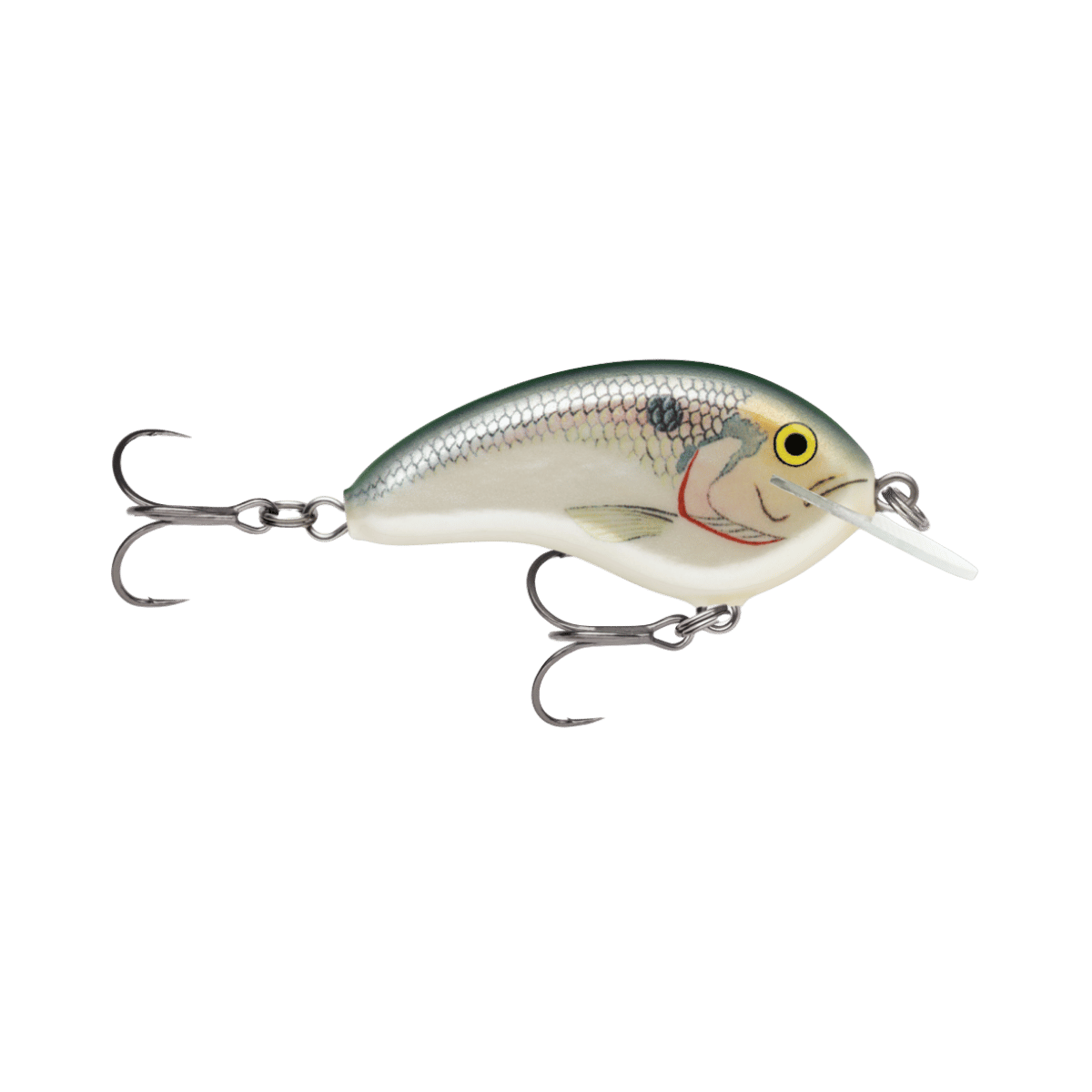 RAPALA OTT'S GARAGE 2-1/4" SHAD TINY 4