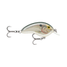 SHAD