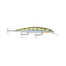 YELLOW PERCH