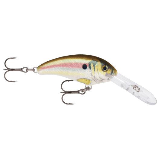 RAPALA SHAD DANCER 05 2IN - LIVE RIVER SHAD