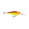 HOT TIGER