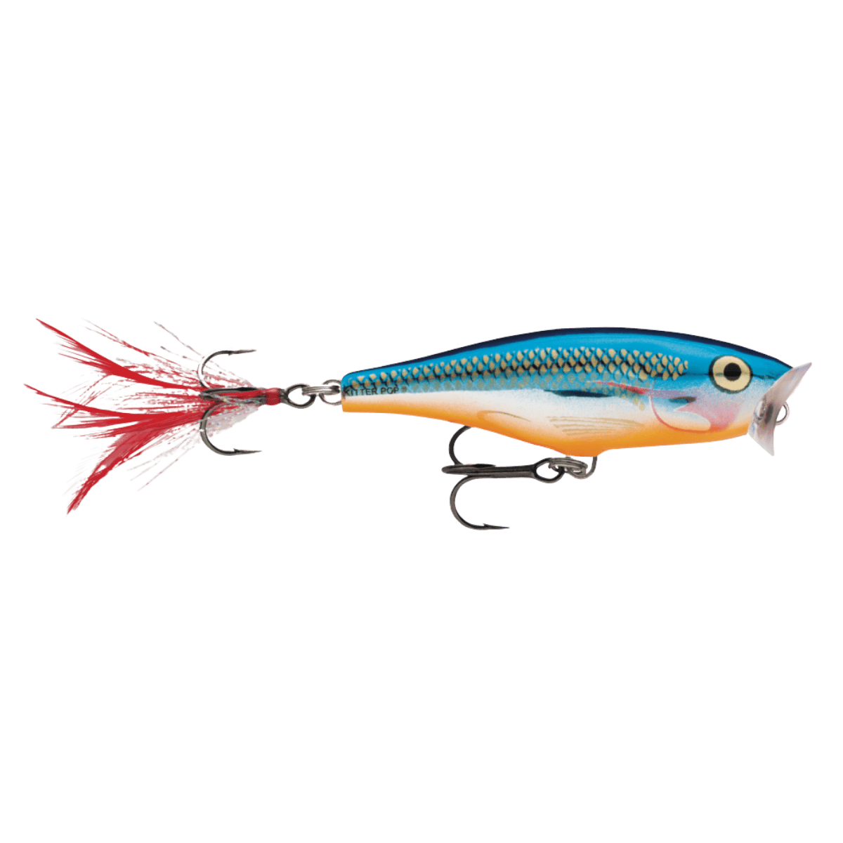 RAPALA SKITTER POP 05 - SILVER BLUE FRONT