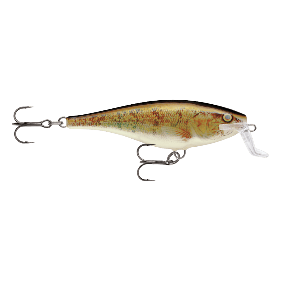 RAPALA SUPER SHAD RAP 14 - WALLEYE FRONT
