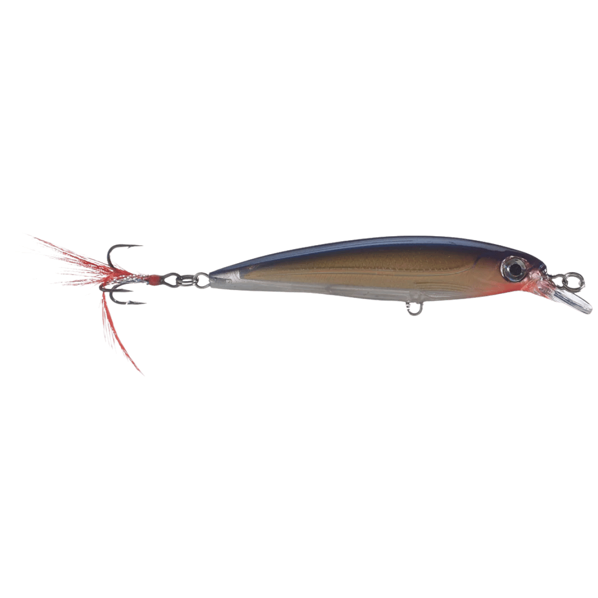 RAPALA X-RAP JERKBAIT 10 - PURPLE GOLD FRONT