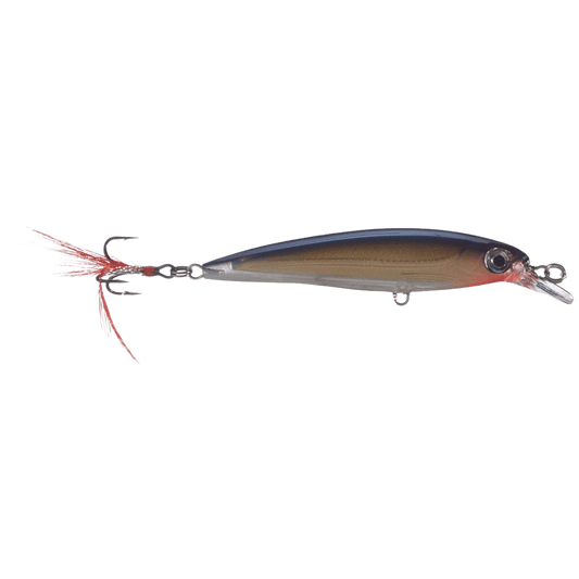 RAPALA X-RAP JERKBAIT 10 - PURPLE GOLD FRONT