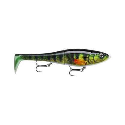 RAPALA XRAP LIVE PERCH PETO