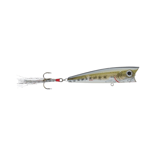 REBEL SUPER POP R BABY BASS