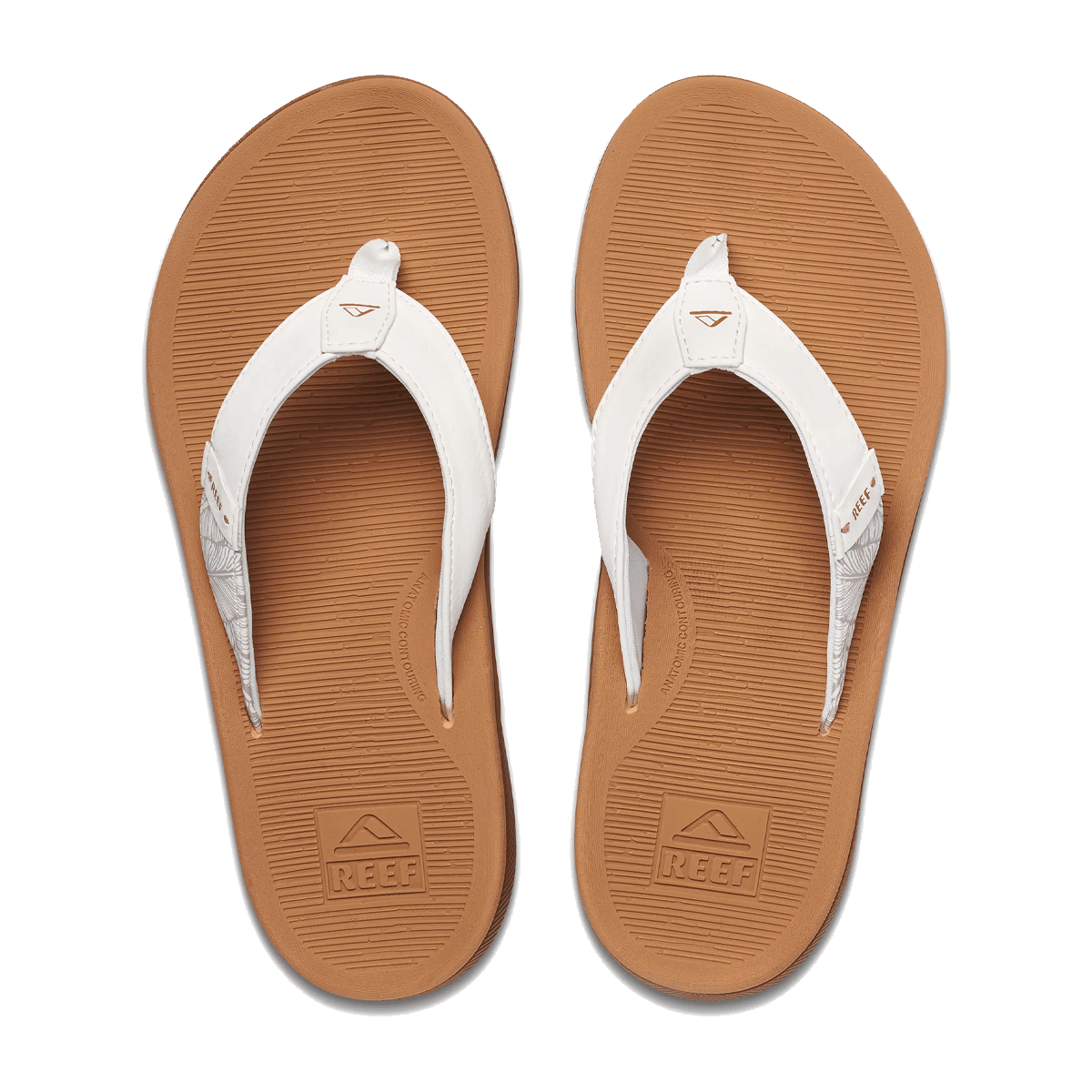 REEF WOMEN'S SANTA ANA FLIP - CLOUD - TOP VIEW