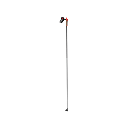 ROSSIGNOL FORCE 3 POLES 2023 2024 BLACK