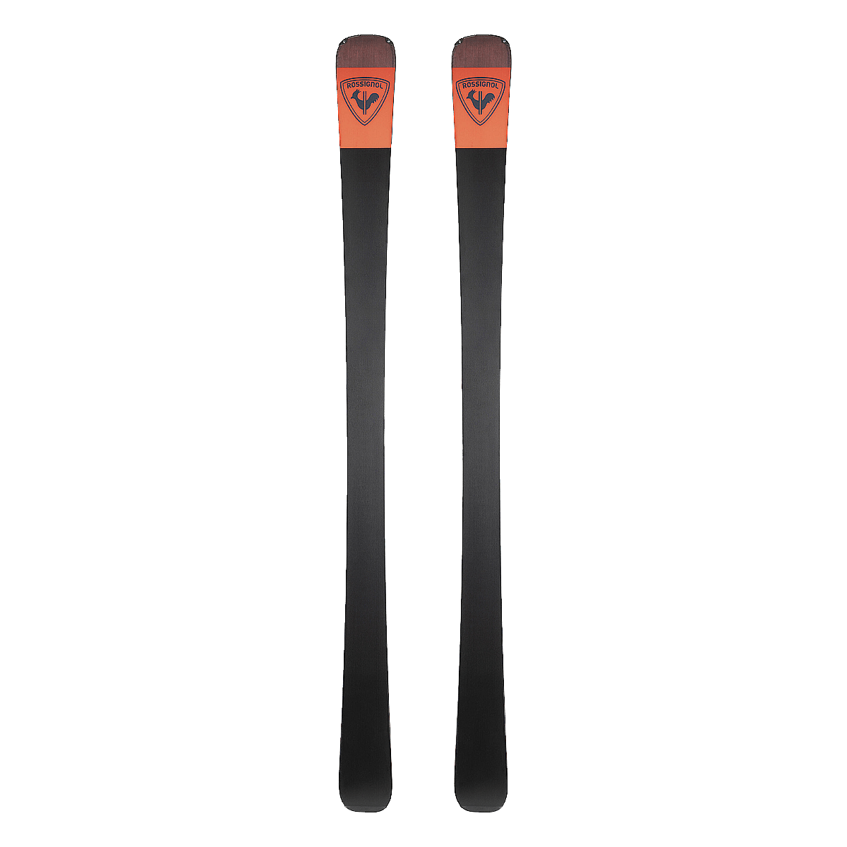 ROSSIGNOL ARCADE 88 SKIS 2026 BACKSIDE