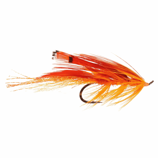 RAINY`S GENERAL PRACTITIONER ORANGE SIZE 2
