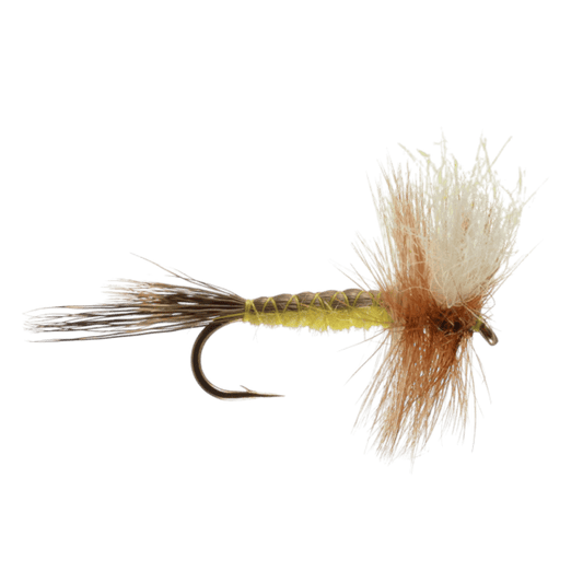 RAINY`S SPARKLE WING HEX ADULT TROUTSMAN SIZE 6