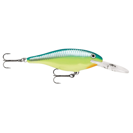 RAPALA SHAD RAP 3-1/8 INCH CARIBBEAN SHAD CRANKBAIT