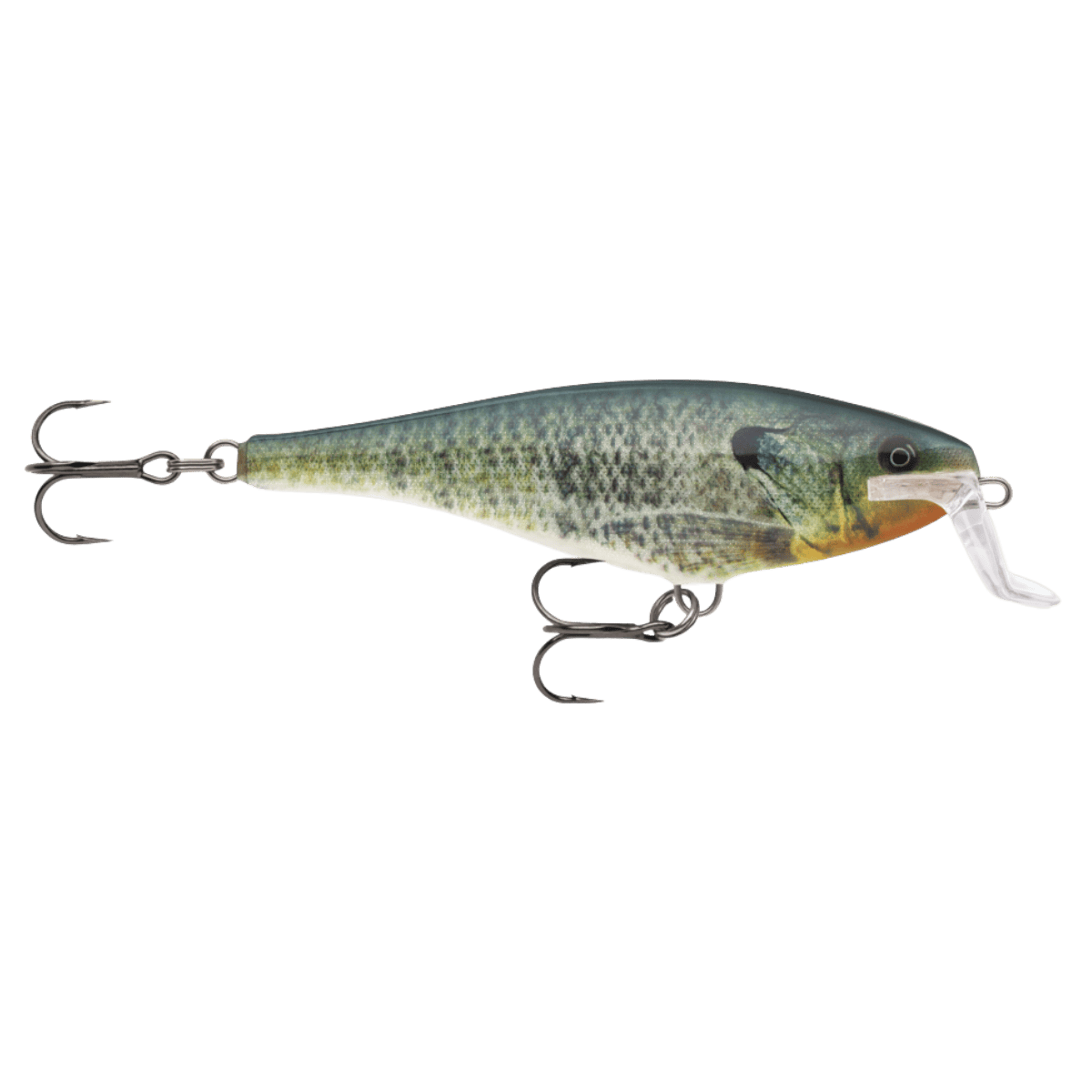 RAPALA SUPER SHAD RAP 14 5-1/2IN - LIVE BLUEGILL