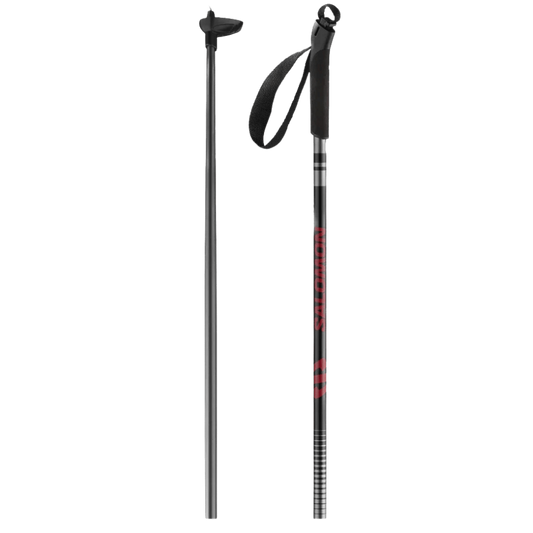 SALOMON ESCAPE NORDIC POLES 2022