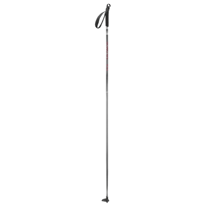 SALOMON ESCAPE NORDIC POLES 2022