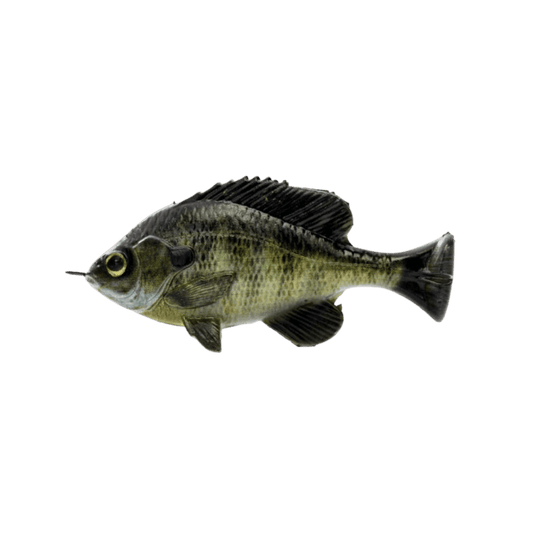 SAVAGE GEAR PULSE TAIL BLUEGILL LOOSE BODY BLUE GILL
