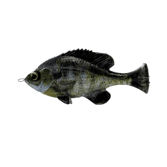 SAVAGE GEAR PULSE TAIL BLUEGILL LOOSE BODY GHOST GILL