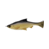 GOLD SHAD