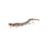 RATTLE SNAKE
