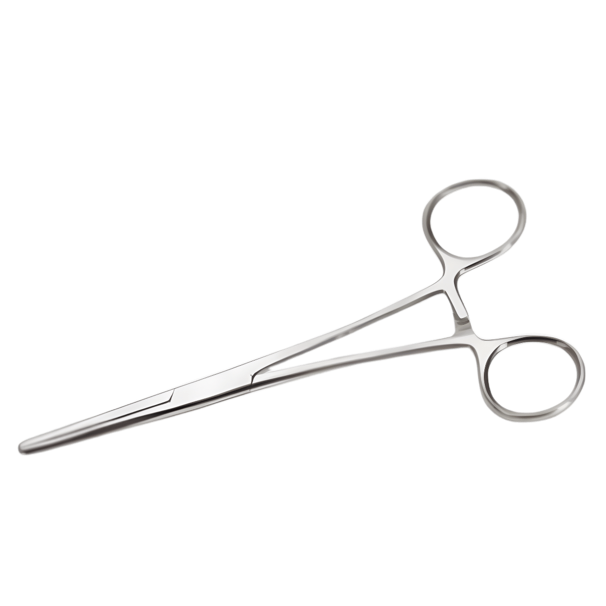 SCZ STRAIGHT HEMOSTAT 10IN