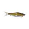 N GOLDEN SHINER