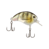 NATURAL GILL