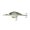SHAD-TREUSE
