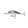 4K SHAD