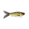 GRAND SHAD