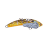 BLUE GILL