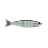 BLUEGILL