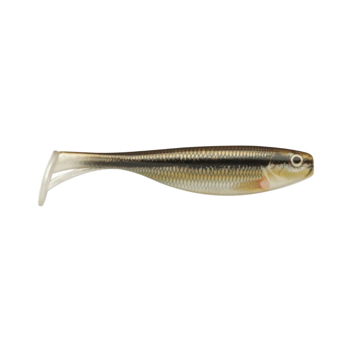 STORM LARGO SHAD 3IN LIVE MINNOW