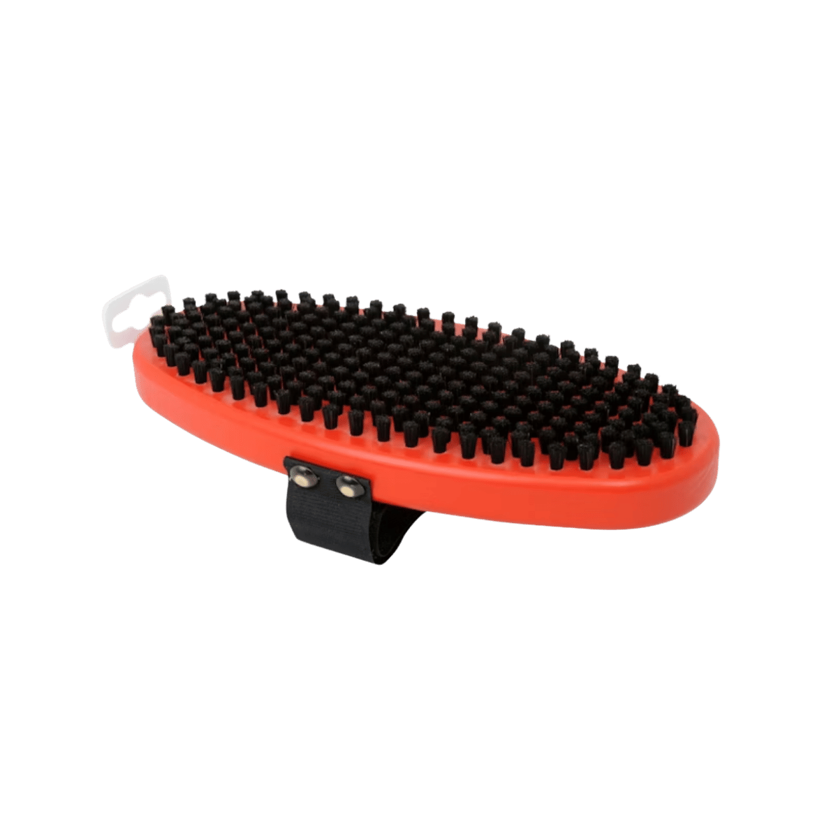 SWIX HORSE HAIR BRUSH OVAL