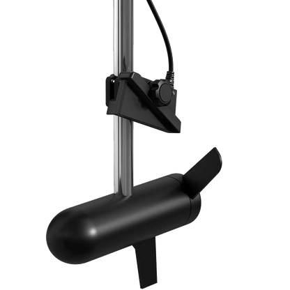 LIVESCOPE PLUS with GLS 10 and LVS34 SYSTEM - pole side mount
