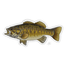 SMALLMOUTH