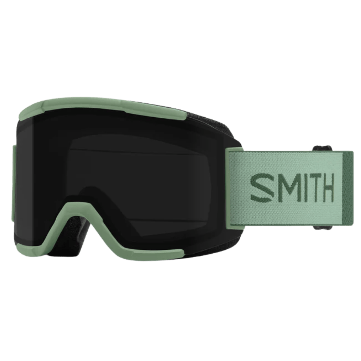 SMITH ADULT UNISEX SQUAD GOGGLES - ALOE - CP SUN BLACK 