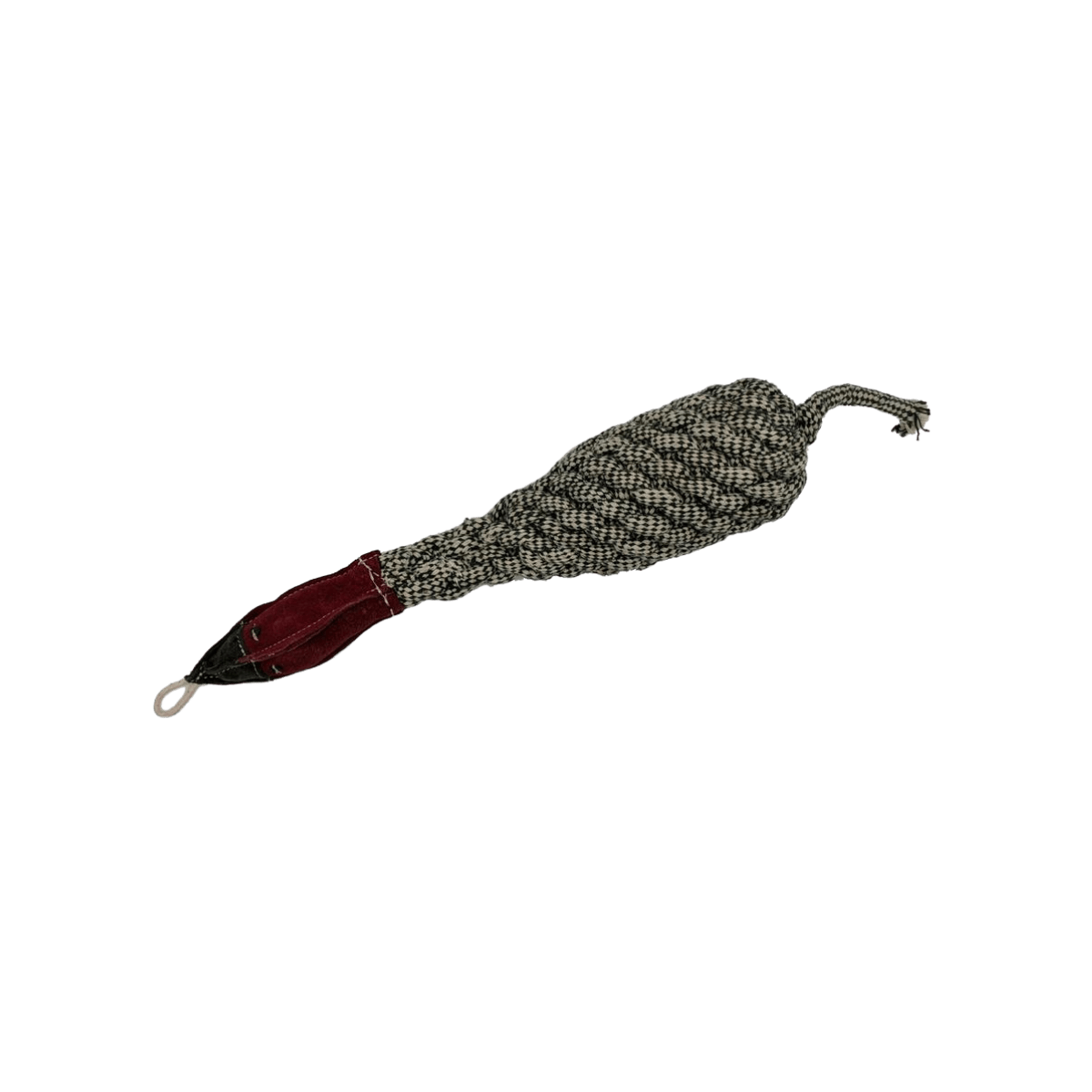 TAILFIN SMALL CRINKLE PHEASANT - FRONT VIEW