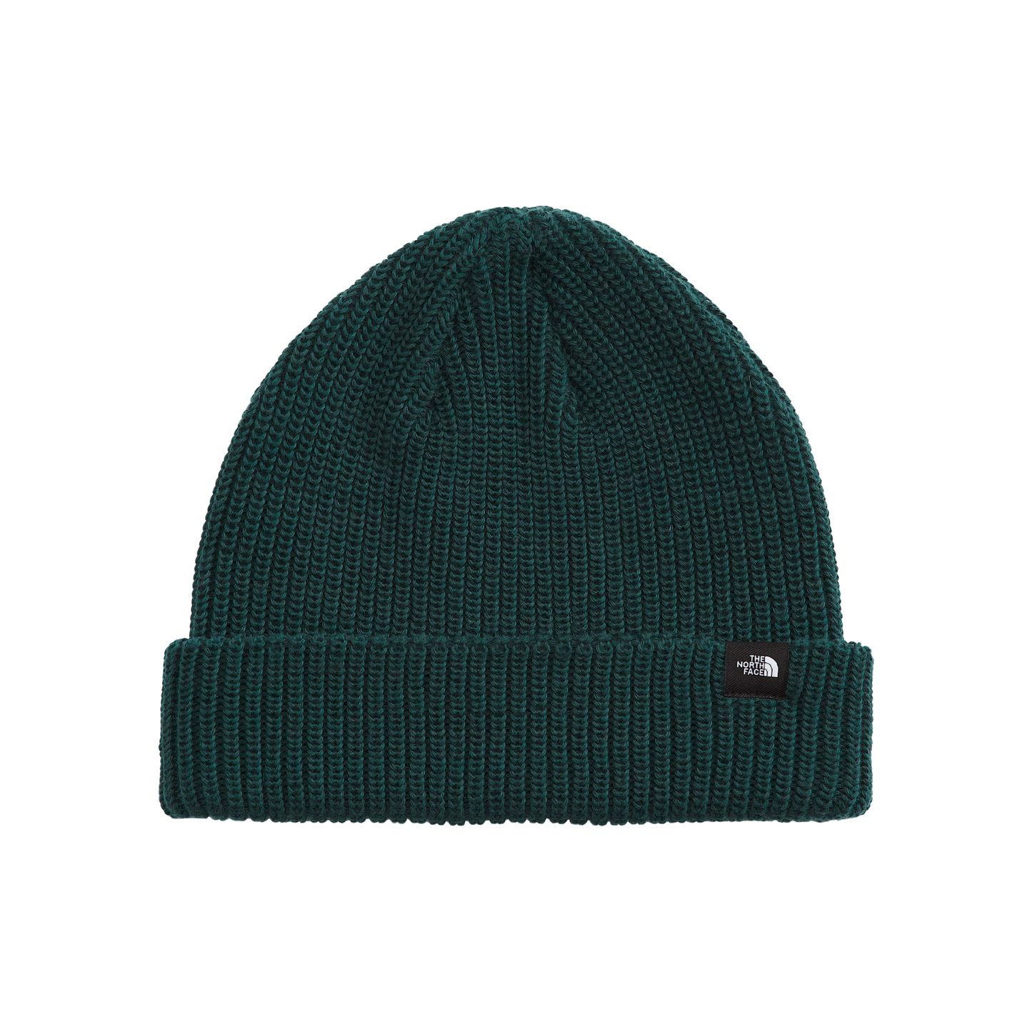 NORTH FACE TNF FISHERMAN BEANIE BOTTLE GREEN