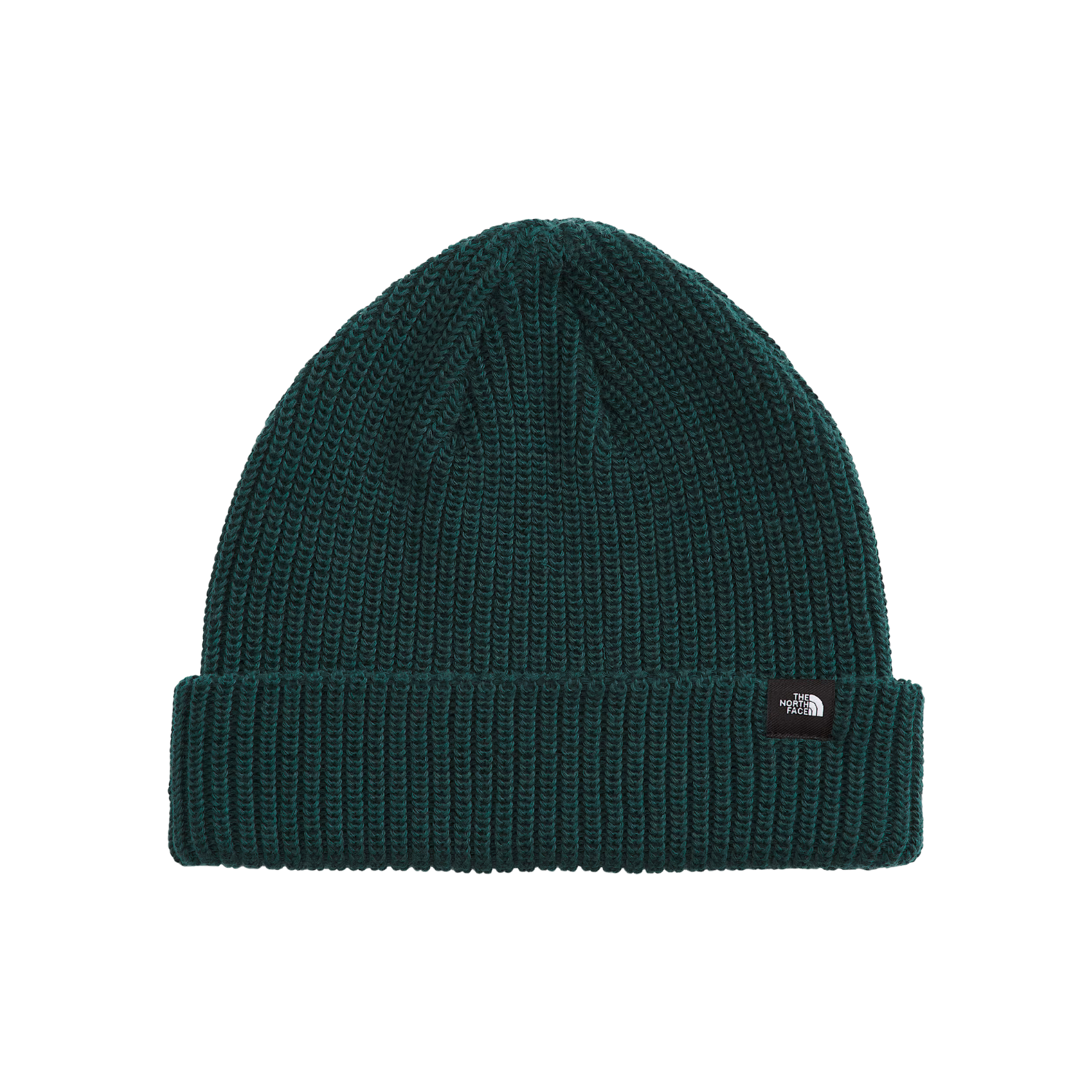 NORTH FACE TNF FISHERMAN BEANIE BOTTLE GREEN