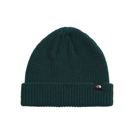 NORTH FACE TNF FISHERMAN BEANIE BOTTLE GREEN