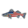 USA WALLEYE
